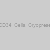 Human Cord Blood CD34+ Cells, Cryopreserved, mixed donorÂ 